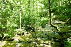 Fußwallfahrt zum Sonntagberg 2022 - Tag 1