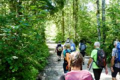 Fußwallfahrt zum Sonntagberg 2022 - Tag 1