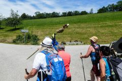 Fußwallfahrt zum Sonntagberg 2022 - Tag 3