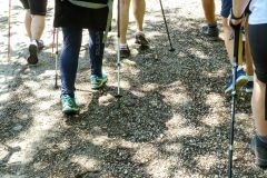 Fußwallfahrt zum Sonntagberg 2022 - Tag 3