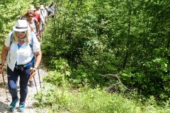 Fußwallfahrt zum Sonntagberg 2022 - Tag 3