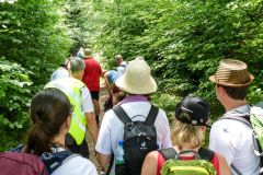 Fußwallfahrt zum Sonntagberg 2022 - Tag 3