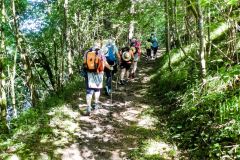 Fußwallfahrt zum Sonntagberg 2022 - Tag 2