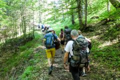 Fußwallfahrt zum Sonntagberg 2022 - Tag 2