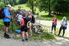 Fußwallfahrt zum Sonntagberg 2022 - Tag 2