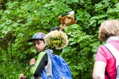 Fußwallfahrt zum Sonntagberg 2023