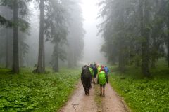 Fußwallfahrt zum Sonntagberg 2023