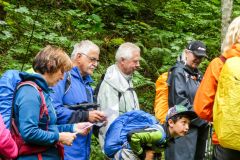 Fußwallfahrt zum Sonntagberg 2023