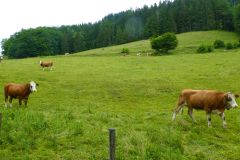 Fußwallfahrt zum Sonntagberg 2023