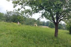 Fußwallfahrt zum Sonntagberg 2023