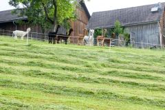 Fußwallfahrt zum Sonntagberg 2023