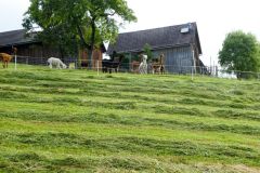 Fußwallfahrt zum Sonntagberg 2023