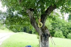 Fußwallfahrt zum Sonntagberg 2023