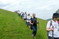 Fußwallfahrt zum Sonntagberg 2023