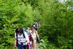 Fußwallfahrt zum Sonntagberg 2023