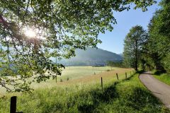 Sonntagberg-Wallfahrt 2024 - 29. Juni 2024 - Foto: Mariazell Online