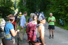 Sonntagberg-Wallfahrt 2024 - 29. Juni 2024 - Foto: Mariazell Online