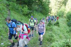 Sonntagberg-Wallfahrt 2024 - 29. Juni 2024 - Foto: Mariazell Online