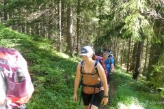 Sonntagberg-Wallfahrt 2024 - 29. Juni 2024 - Foto: Mariazell Online