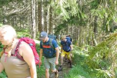 Sonntagberg-Wallfahrt 2024 - 29. Juni 2024 - Foto: Mariazell Online