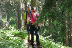 Sonntagberg-Wallfahrt 2024 - 29. Juni 2024 - Foto: Mariazell Online