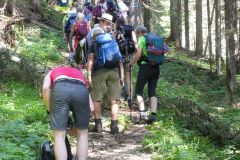 Sonntagberg-Wallfahrt 2024 - 29. Juni 2024 - Foto: Mariazell Online