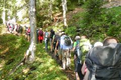 Sonntagberg-Wallfahrt 2024 - 29. Juni 2024 - Foto: Mariazell Online