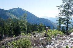 Sonntagberg-Wallfahrt 2024 - 29. Juni 2024 - Foto: Mariazell Online