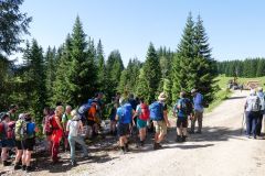 Sonntagberg-Wallfahrt 2024 - 29. Juni 2024 - Foto: Mariazell Online