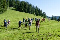 Sonntagberg-Wallfahrt 2024 - 29. Juni 2024 - Foto: Mariazell Online