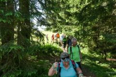 Sonntagberg-Wallfahrt 2024 - 29. Juni 2024 - Foto: Mariazell Online