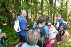 Sonntagberg-Wallfahrt 2024 - 29. Juni 2024 - Foto: Mariazell Online