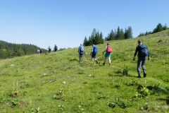 Sonntagberg-Wallfahrt 2024 - 29. Juni 2024 - Foto: Mariazell Online