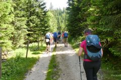 Sonntagberg-Wallfahrt 2024 - 29. Juni 2024 - Foto: Mariazell Online