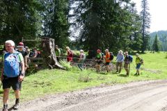 Sonntagberg-Wallfahrt 2024 - 29. Juni 2024 - Foto: Mariazell Online