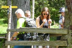 Sonntagberg-Wallfahrt 2024 - 29. Juni 2024 - Foto: Mariazell Online