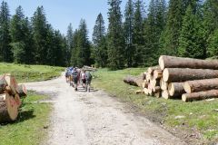 Sonntagberg-Wallfahrt 2024 - 29. Juni 2024 - Foto: Mariazell Online