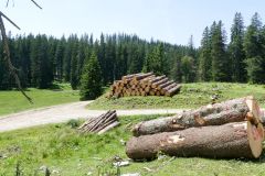 Sonntagberg-Wallfahrt 2024 - 29. Juni 2024 - Foto: Mariazell Online