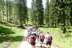 Sonntagberg-Wallfahrt 2024 - 29. Juni 2024 - Foto: Mariazell Online