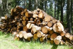 Sonntagberg-Wallfahrt 2024 - 29. Juni 2024 - Foto: Mariazell Online