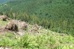 Sonntagberg-Wallfahrt 2024 - 29. Juni 2024 - Foto: Mariazell Online