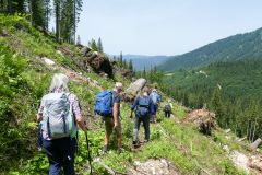 Sonntagberg-Wallfahrt 2024 - 29. Juni 2024 - Foto: Mariazell Online