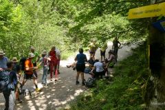 Sonntagberg-Wallfahrt 2024 - 29. Juni 2024 - Foto: Mariazell Online