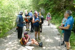 Sonntagberg-Wallfahrt 2024 - 29. Juni 2024 - Foto: Mariazell Online