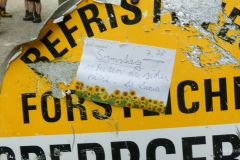 Sonntagberg-Wallfahrt 2024 - 29. Juni 2024 - Foto: Mariazell Online