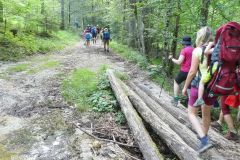 Sonntagberg-Wallfahrt 2024 - 29. Juni 2024 - Foto: Mariazell Online