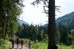 Sonntagberg-Wallfahrt 2024 - 29. Juni 2024 - Foto: Mariazell Online