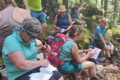 Sonntagberg-Wallfahrt 2024 - 29. Juni 2024 - Foto: Heinrich Karl