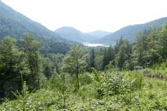 Sonntagberg-Wallfahrt 2024 - 29. Juni 2024 - Foto: Mariazell Online