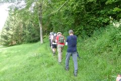 Sonntagberg-Wallfahrt 2024 - 30. Juni 2024 - Foto: Mariazell Online